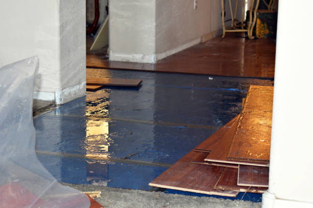 Professional Basement Flood Cleanup technician working in Melrose, NY